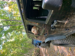 Finn_in_Jeep[