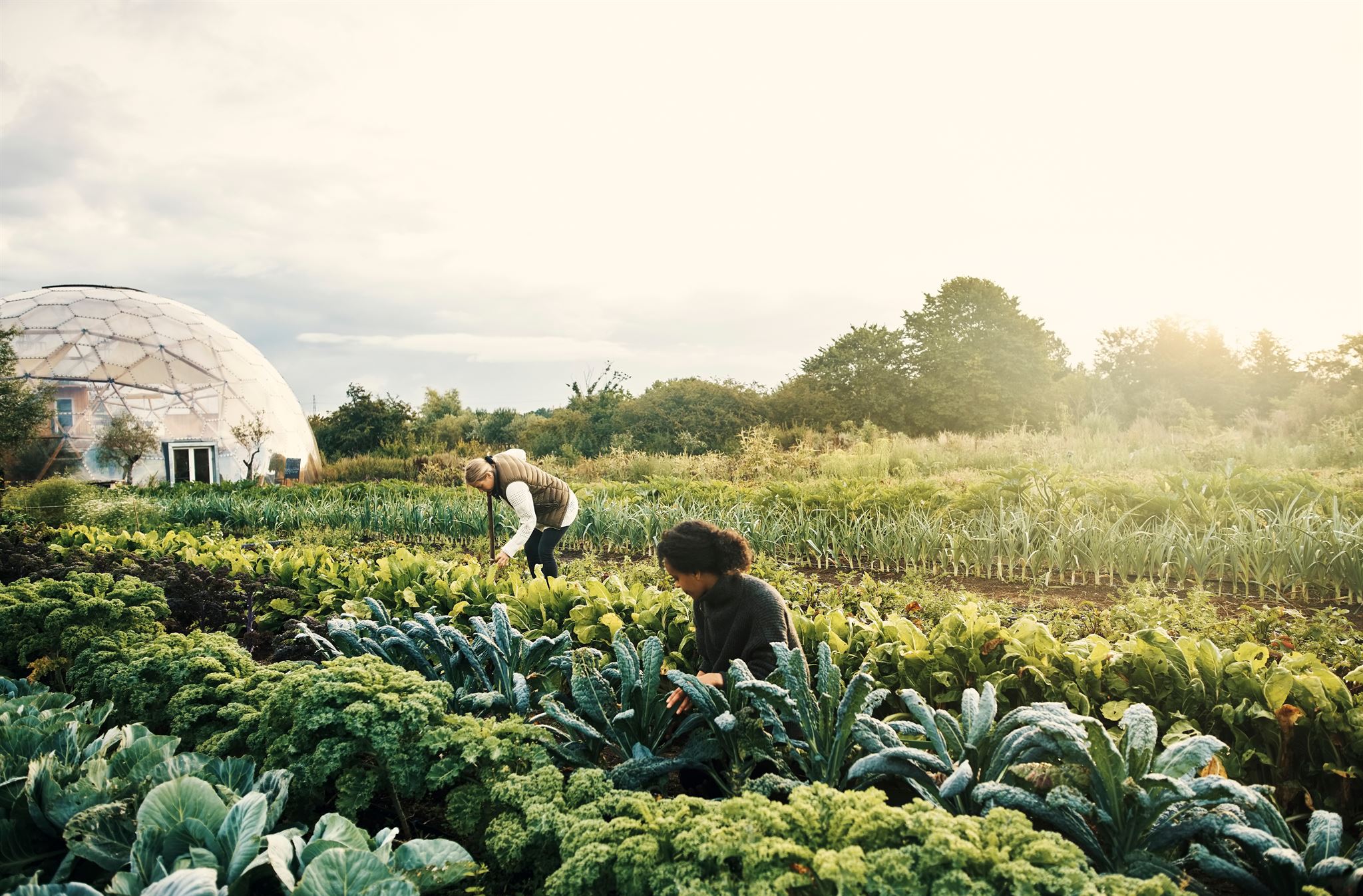 Sustainable practices