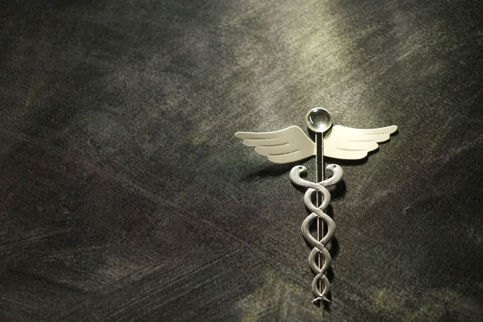 Veteran health services
